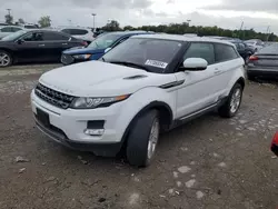 Salvage cars for sale at Indianapolis, IN auction: 2013 Land Rover Range Rover Evoque Pure Premium