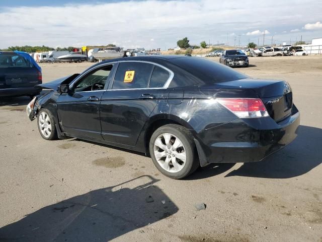 2010 Honda Accord EXL