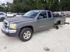 2005 Dodge Dakota SLT