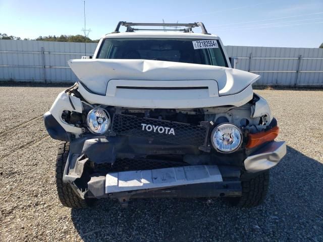 2010 Toyota FJ Cruiser