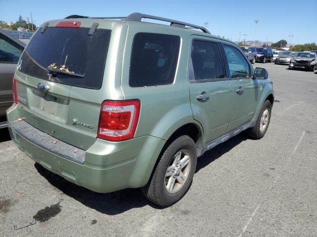 2008 Ford Escape HEV