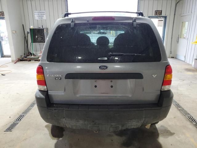 2007 Ford Escape XLT