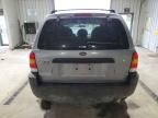 2007 Ford Escape XLT