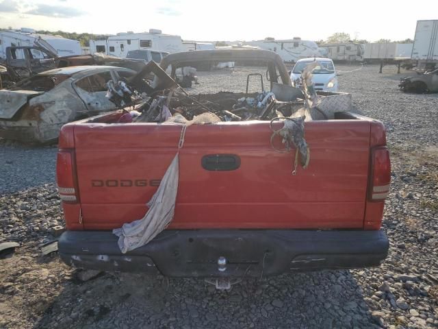 2003 Dodge Dakota SXT