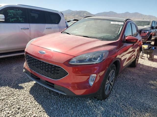 2021 Ford Escape SEL