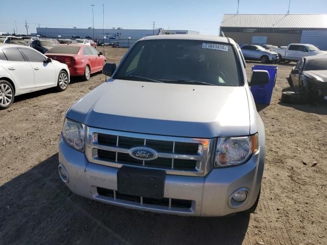 2008 Ford Escape XLT