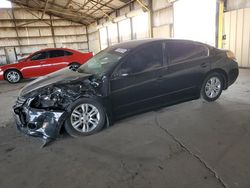 Salvage trucks for sale at Phoenix, AZ auction: 2010 Nissan Altima Base