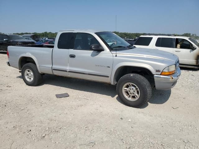 2000 Dodge Dakota