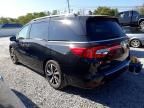 2020 Honda Odyssey Elite