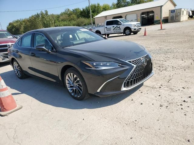 2024 Lexus ES 300H Base