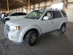 Salvage Cars with No Bids Yet For Sale at auction: 2011 Ford Escape Limited