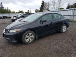 Honda Civic lx salvage cars for sale: 2013 Honda Civic LX