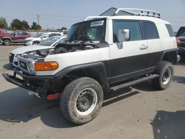 2010 Toyota FJ Cruiser