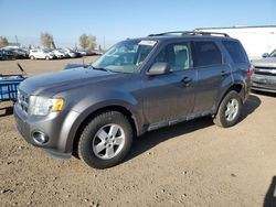 2012 Ford Escape XLT en venta en Rocky View County, AB