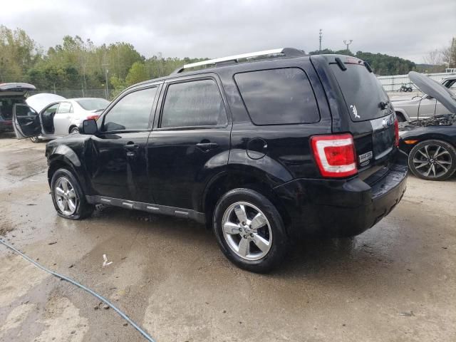 2010 Ford Escape Limited