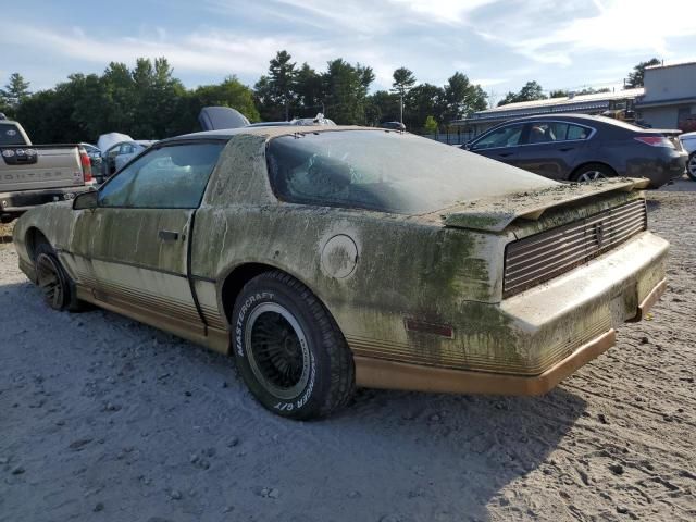 1984 Pontiac Firebird Trans AM