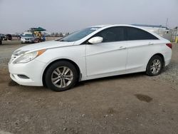 Hyundai salvage cars for sale: 2013 Hyundai Sonata GLS