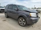 2014 Honda Pilot EXL