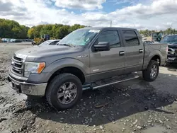 Salvage cars for sale from Copart Windsor, NJ: 2013 Ford F150 Supercrew