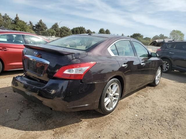 2010 Nissan Maxima S