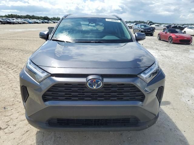 2024 Toyota Rav4 LE