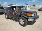 2007 Toyota FJ Cruiser