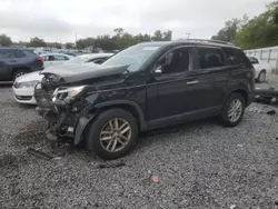 Salvage cars for sale at Arcadia, FL auction: 2014 KIA Sorento LX