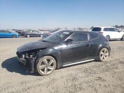 Hyundai Vehiculos salvage en venta: 2013 Hyundai Veloster Turbo