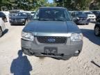 2007 Ford Escape XLT