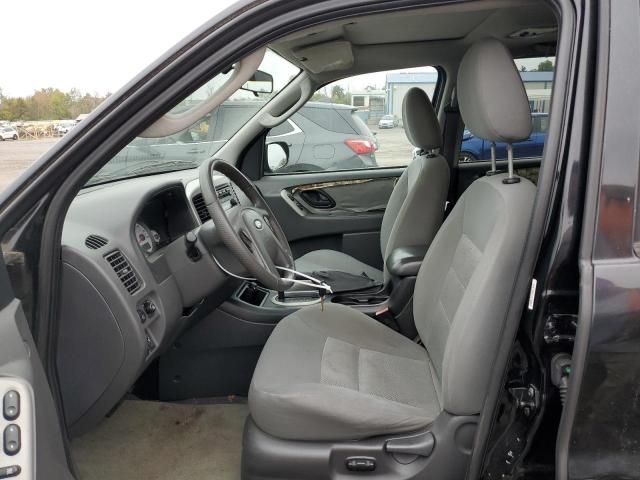 2005 Ford Escape XLT