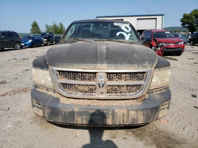 2008 Dodge Dakota SXT