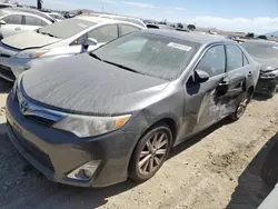 Salvage cars for sale at Martinez, CA auction: 2014 Toyota Camry L