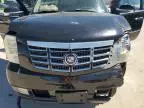 2007 Cadillac Escalade Luxury