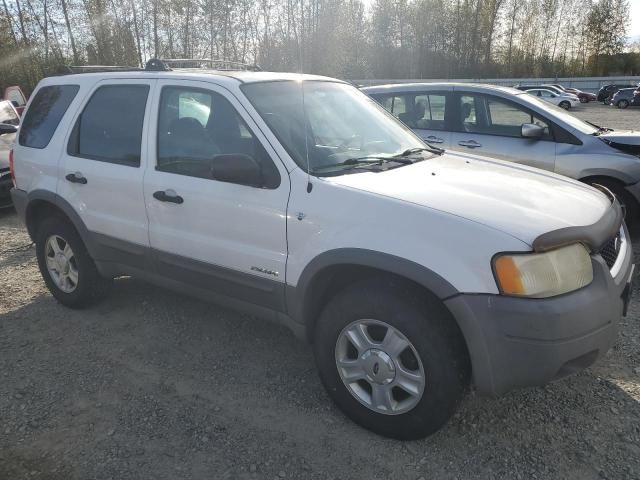 2001 Ford Escape XLT