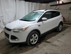 Ford salvage cars for sale: 2013 Ford Escape SE