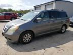 2008 Honda Odyssey EX