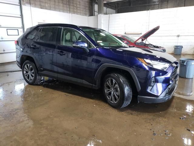 2023 Toyota Rav4 XLE Premium