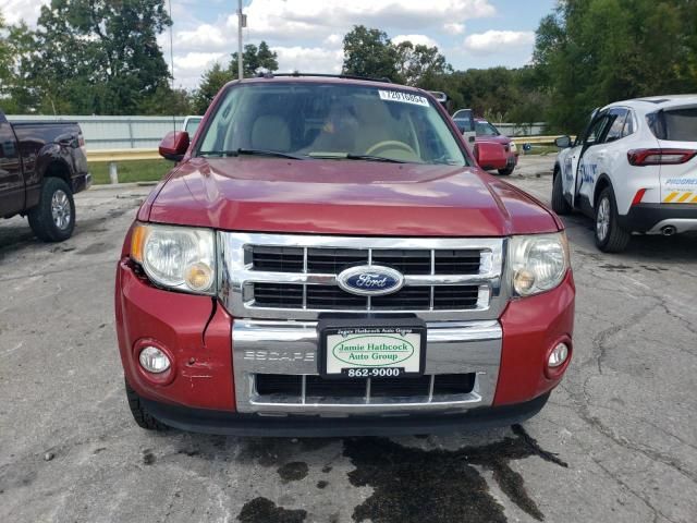 2011 Ford Escape Limited