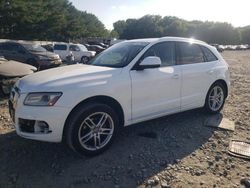 Salvage cars for sale at Windsor, NJ auction: 2014 Audi Q5 Premium Plus