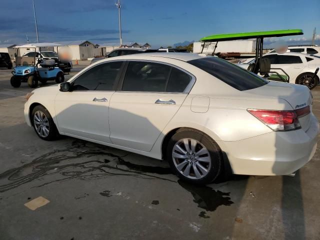 2011 Honda Accord EXL