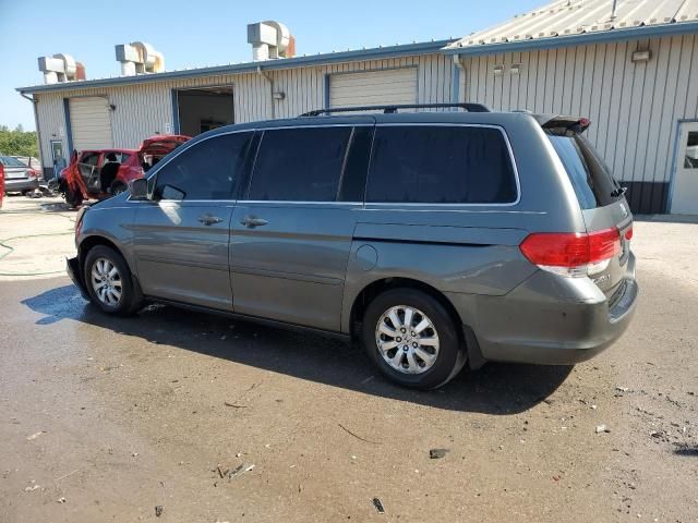 2008 Honda Odyssey EXL