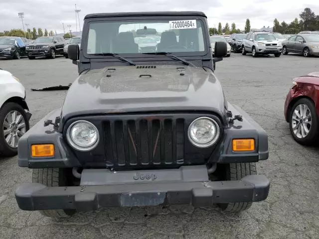 2004 Jeep Wrangler / TJ SE