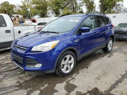 Salvage cars for sale at Bridgeton, MO auction: 2014 Ford Escape SE