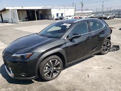 Lexus salvage cars for sale: 2023 Lexus UX 250H Base