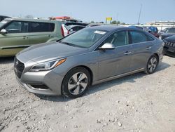 Salvage cars for sale at Cahokia Heights, IL auction: 2017 Hyundai Sonata Hybrid