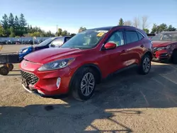 Ford Vehiculos salvage en venta: 2021 Ford Escape SEL