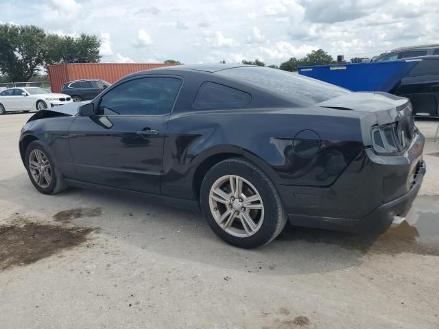 2010 Ford Mustang