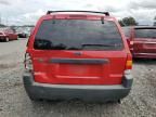 2001 Ford Escape XLT