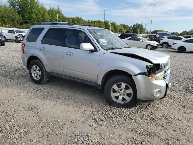 2011 Ford Escape Limited