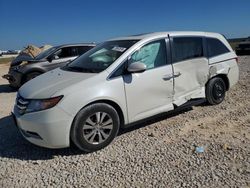 Salvage cars for sale at Taylor, TX auction: 2016 Honda Odyssey EXL